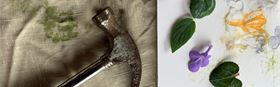 Botanical printing and Nature Craft