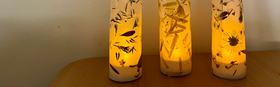 Nature Lanterns