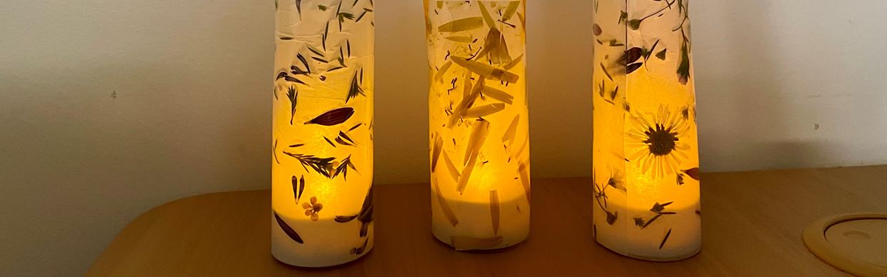Nature Lanterns